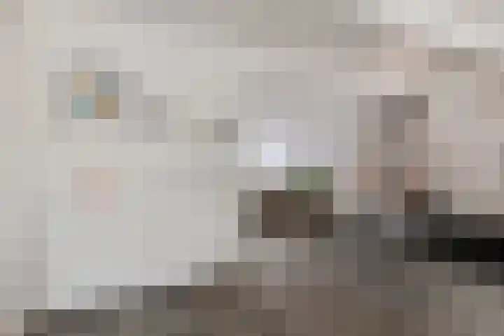 Vliet 53 Franeker thumbnail 16