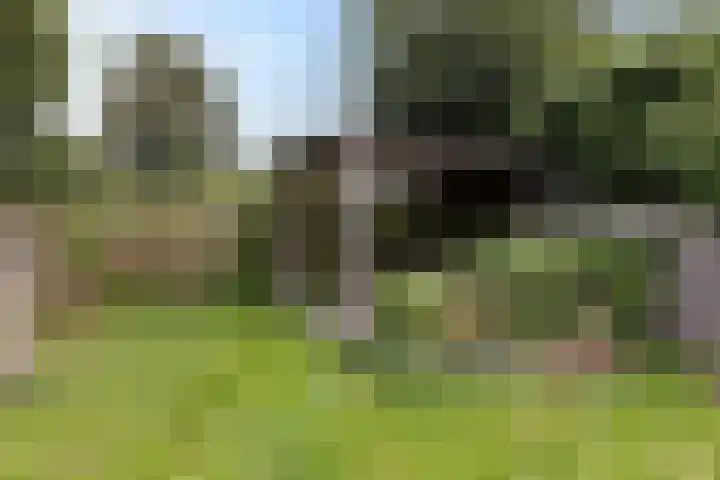 Vliet 53 Franeker thumbnail 34