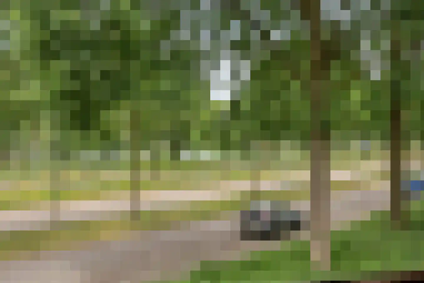 Vliet 53 Zwolle thumbnail 23