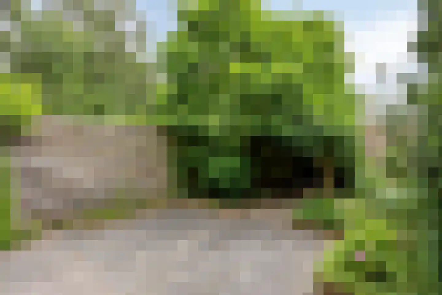 Vliet 53 Zwolle thumbnail 33