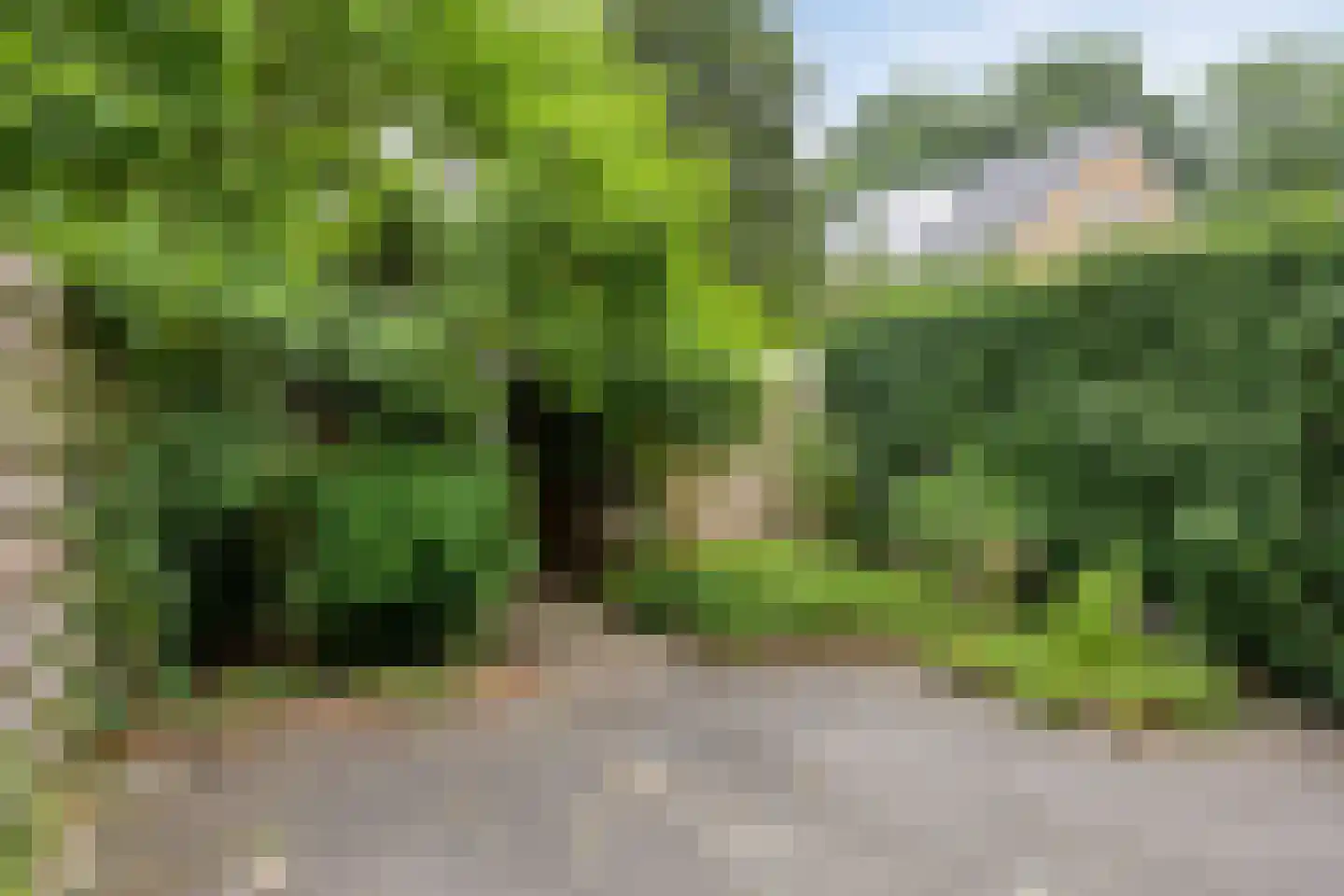 Vliet 53 Zwolle thumbnail 34