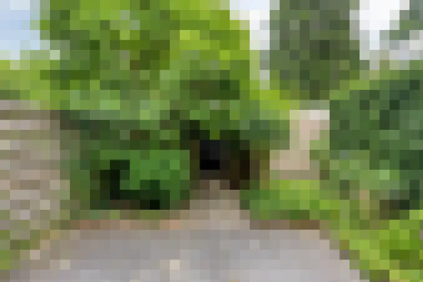 Vliet 53 Zwolle thumbnail 35