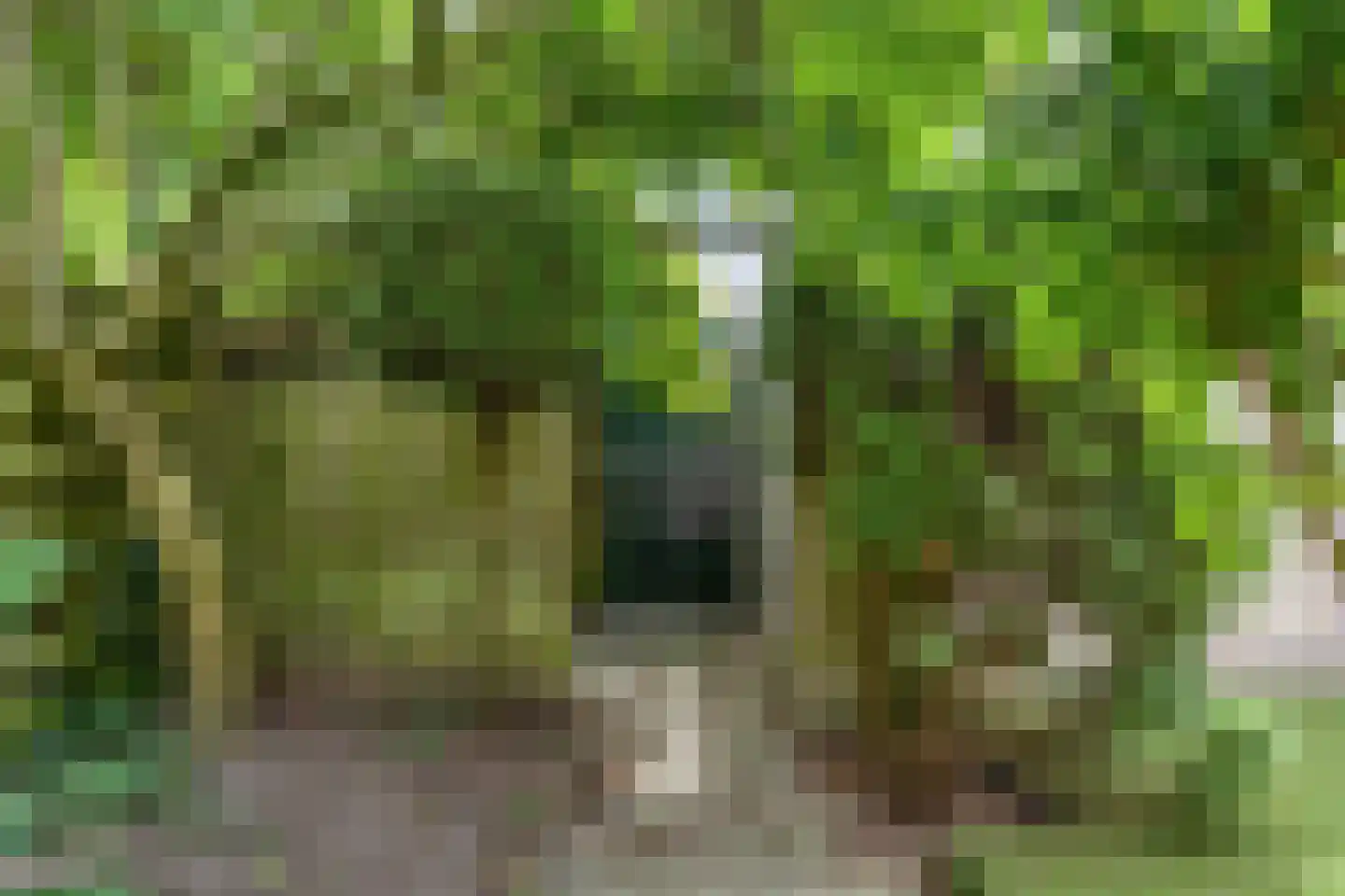 Vliet 53 Zwolle thumbnail 38