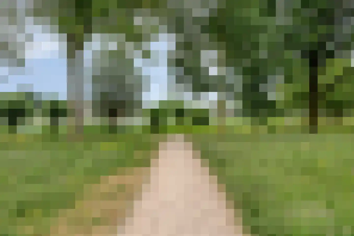 Vliet 53 Zwolle thumbnail 39