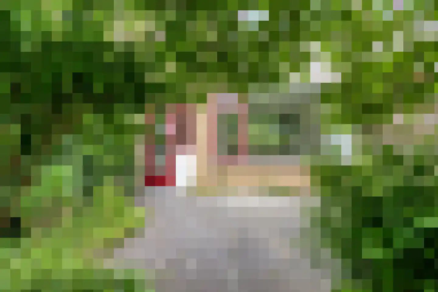 Vliet 53 Zwolle thumbnail 4