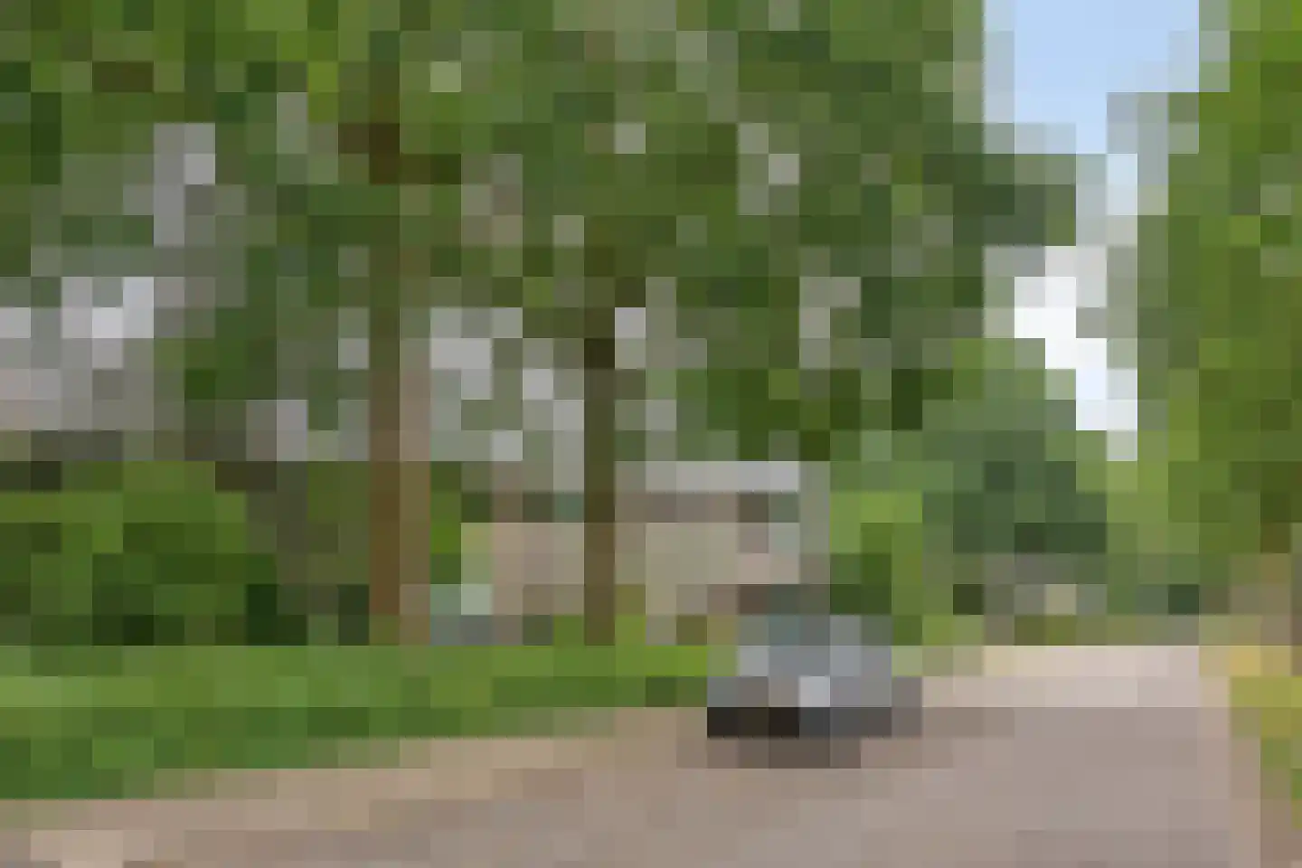 Vliet 53 Zwolle thumbnail 42