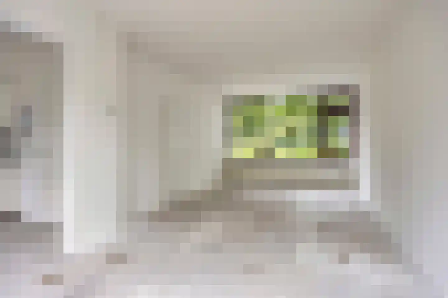 Vliet 53 Zwolle thumbnail 8