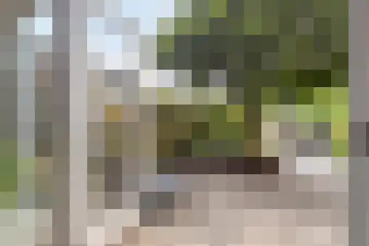 Vliet 55 Heerhugowaard thumbnail 11