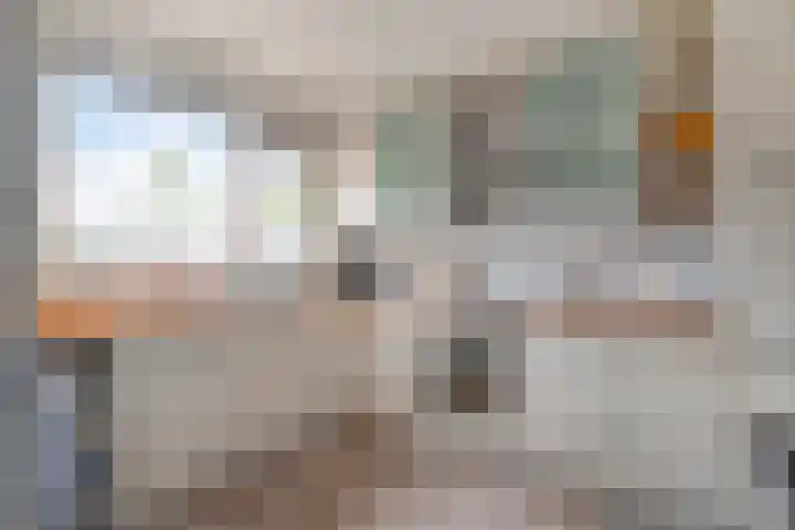Vliet 55 Heerhugowaard thumbnail 13