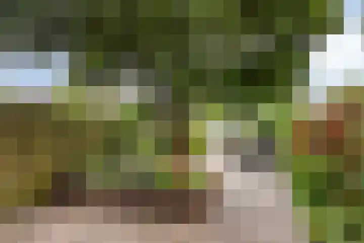 Vliet 55 Heerhugowaard thumbnail 30