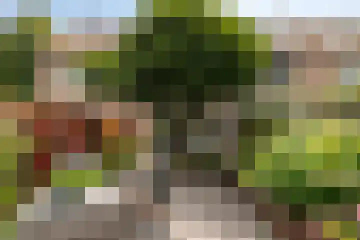 Vliet 55 Heerhugowaard thumbnail 31