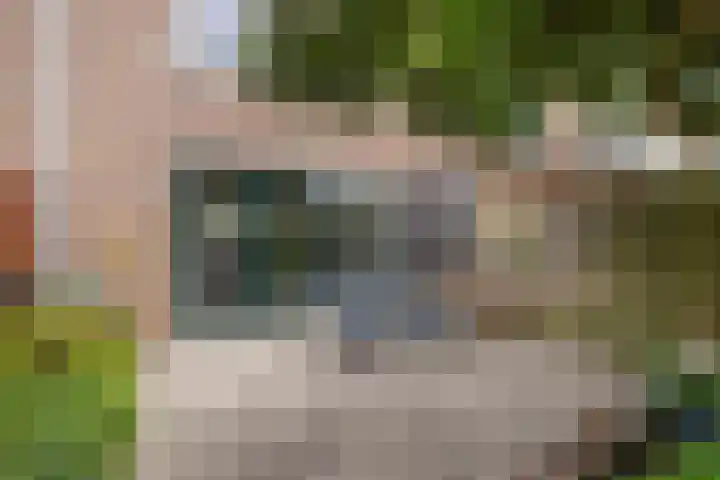 Vliet 55 Heerhugowaard thumbnail 32