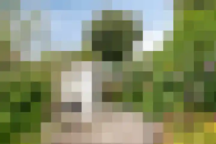 Vliet 55 Heerhugowaard thumbnail 33