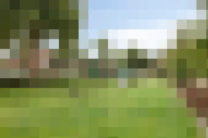 Vliet 55 Heerhugowaard thumbnail 34