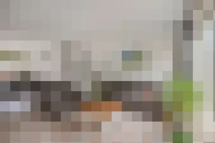 Vliet 55 Heerhugowaard thumbnail 8