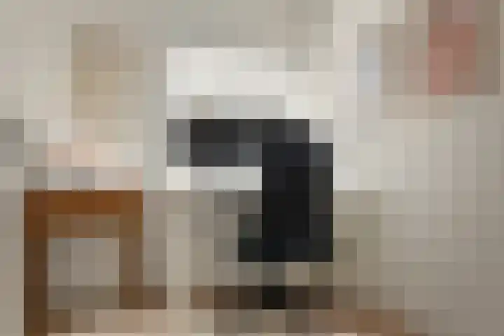 Vliet 56 Franeker thumbnail 22
