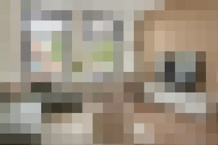 Vliet 56 Franeker thumbnail 6