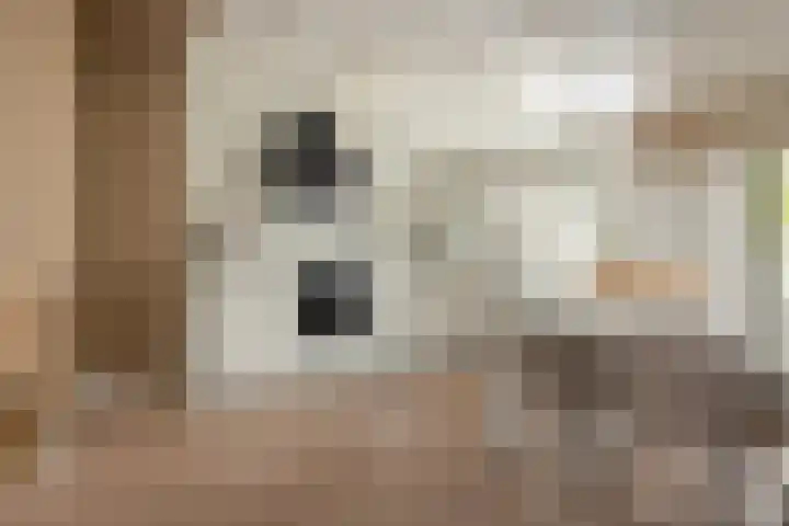 Vliet 56 Franeker thumbnail 8