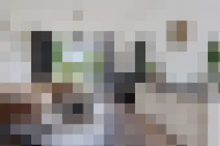 Vliet 58 Heerenveen thumbnail 13