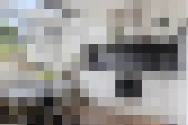 Vliet 58 Heerenveen thumbnail 15
