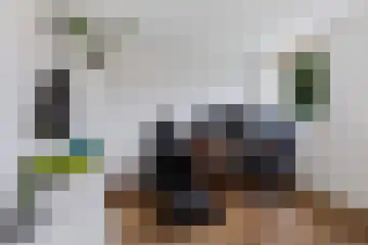 Vliet 58 Heerenveen thumbnail 26