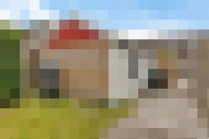 Vliet 58 Heerenveen thumbnail 34