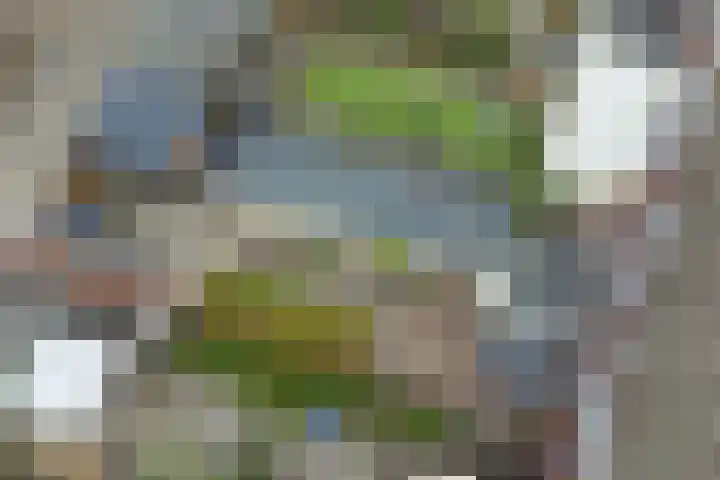 Vliet 58 Heerenveen thumbnail 37