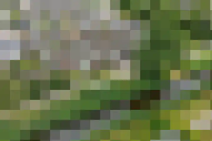 Vliet 58 Heerenveen thumbnail 38