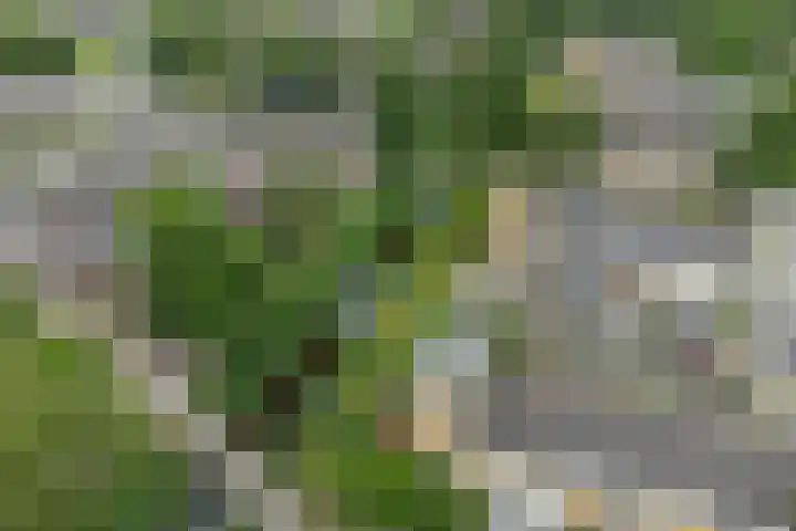 Vliet 58 Heerenveen thumbnail 39