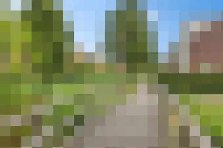 Vliet 58 Heerenveen thumbnail 42