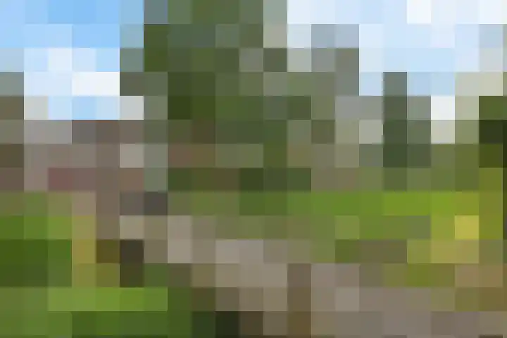 Vliet 58 Heerenveen thumbnail 43