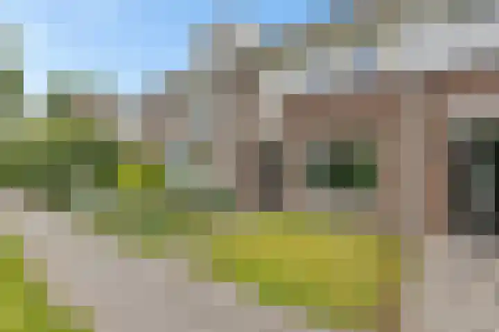 Vliet 58 Heerenveen thumbnail 52