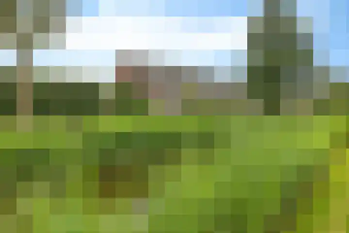 Vliet 58 Heerenveen thumbnail 7
