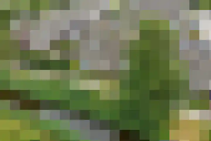 Vliet 58 Heerenveen thumbnail 8