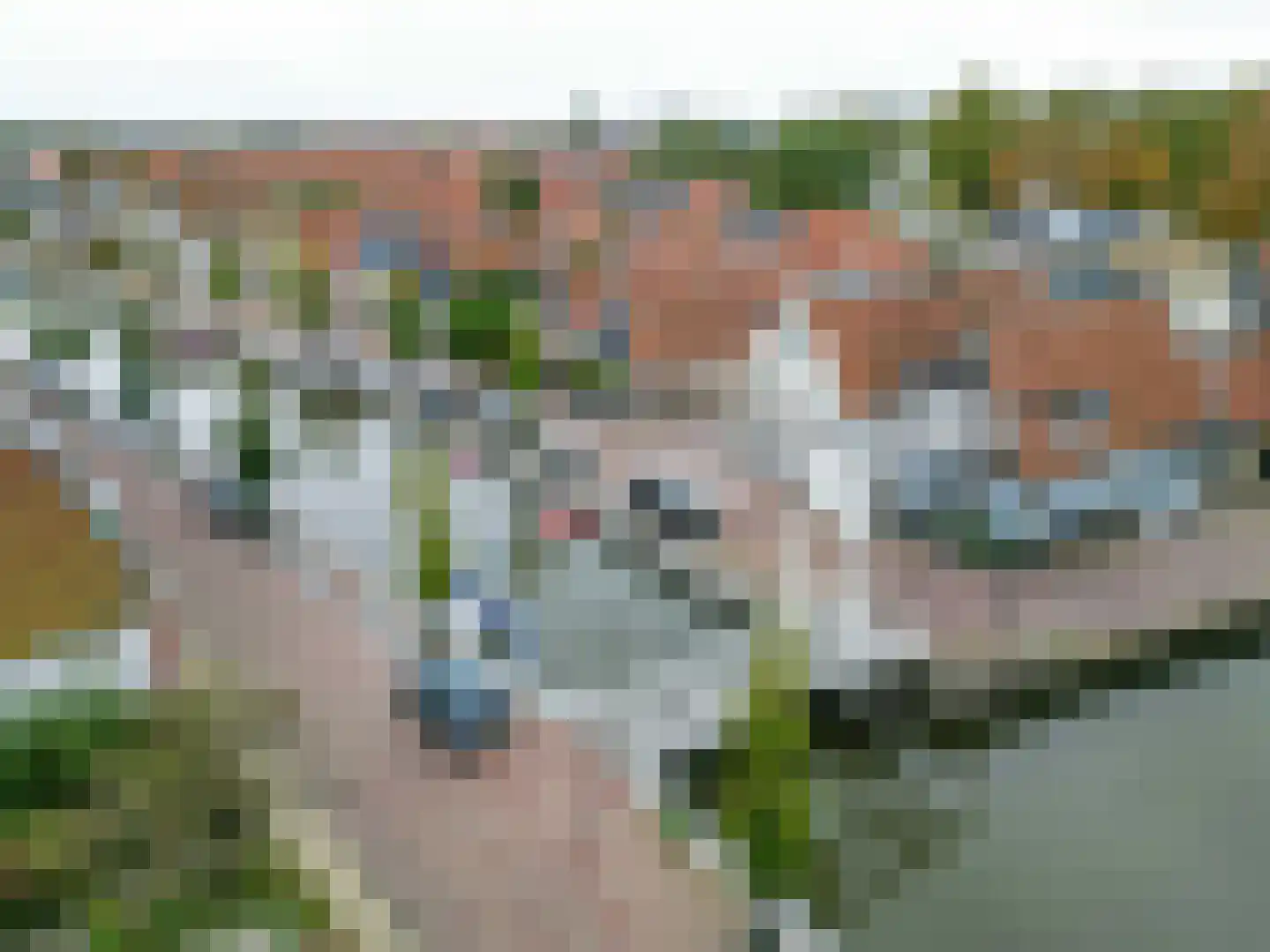 Vliet 8 Franeker thumbnail 10