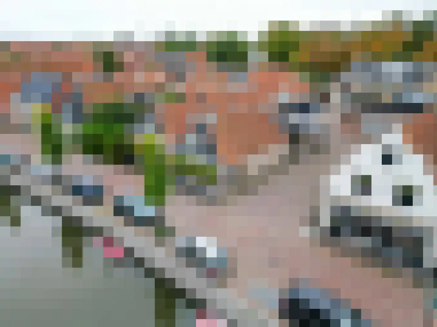 Vliet 8 Franeker thumbnail 12