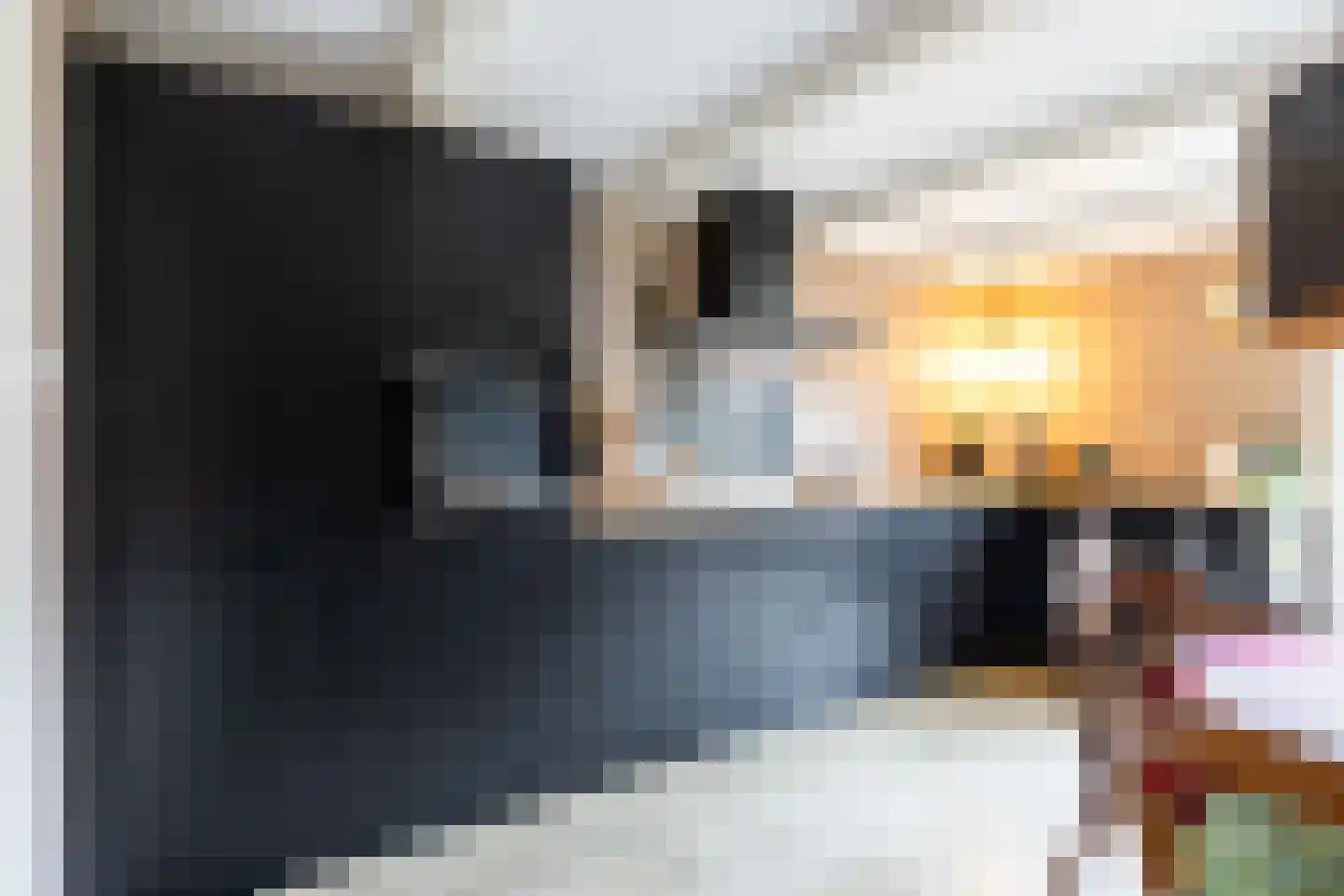 Vliet 8 Franeker thumbnail 31