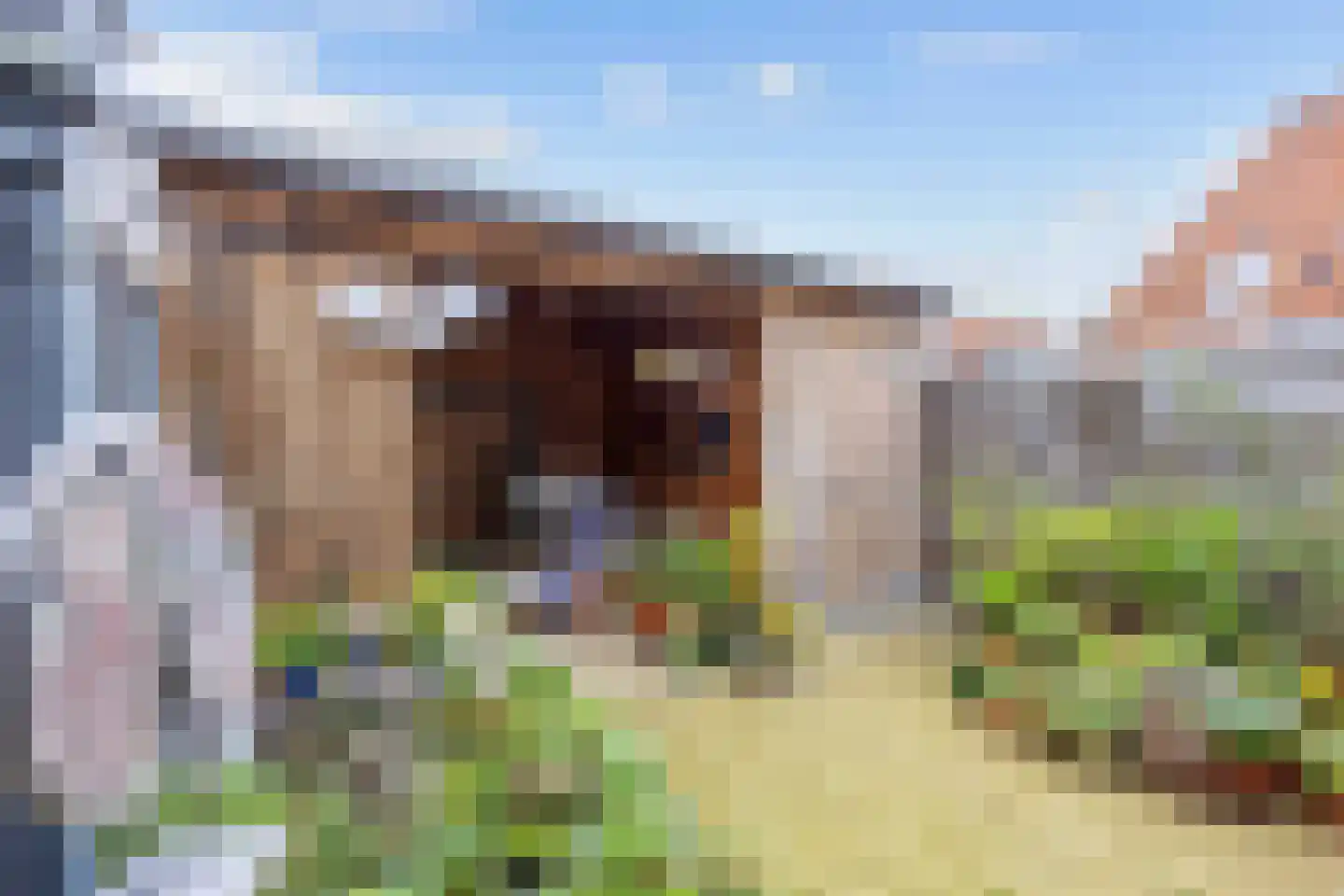 Vliet 8 Franeker thumbnail 46