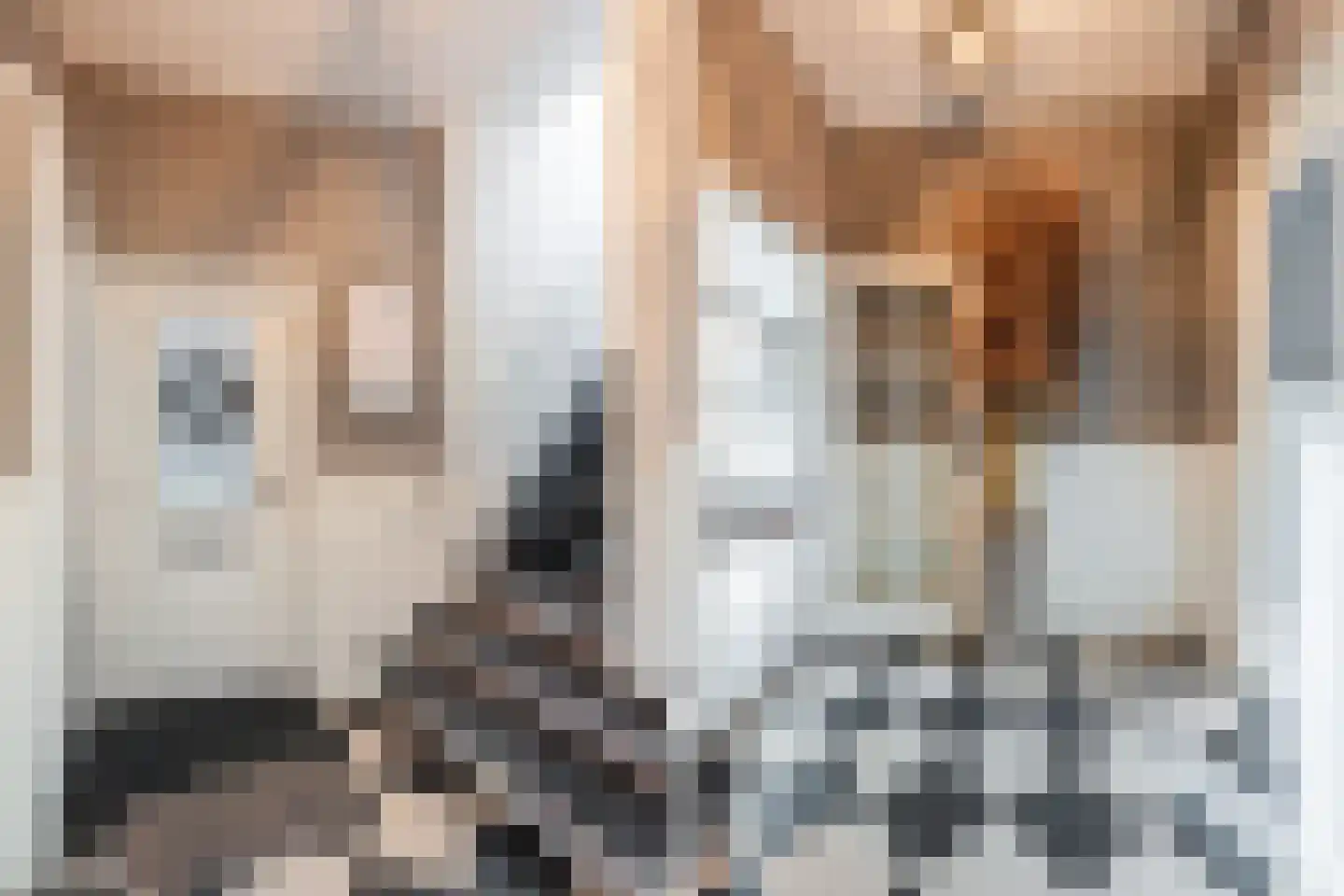 Vliet Noordzijde 45 Rijnsburg thumbnail 10