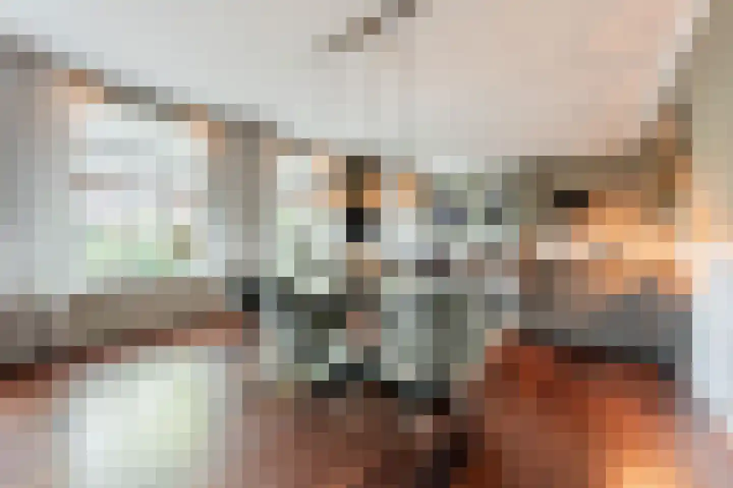 Vliet Noordzijde 45 Rijnsburg thumbnail 12