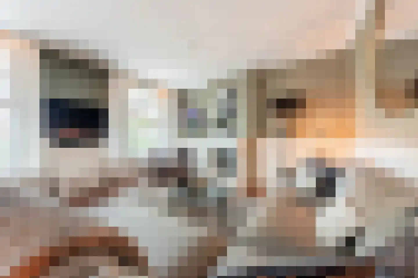 Vliet Noordzijde 45 Rijnsburg thumbnail 13