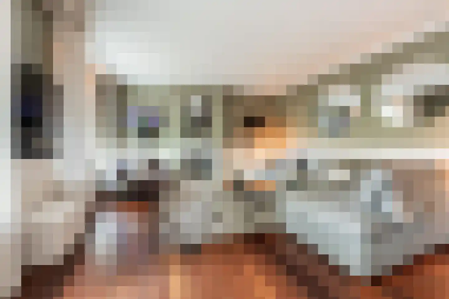Vliet Noordzijde 45 Rijnsburg thumbnail 14
