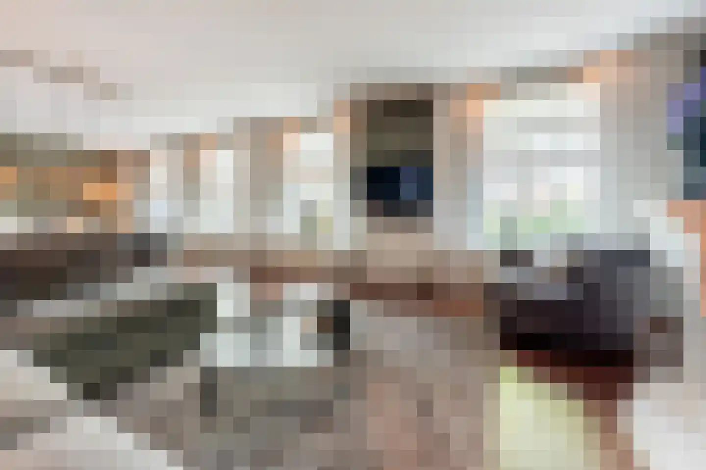 Vliet Noordzijde 45 Rijnsburg thumbnail 15