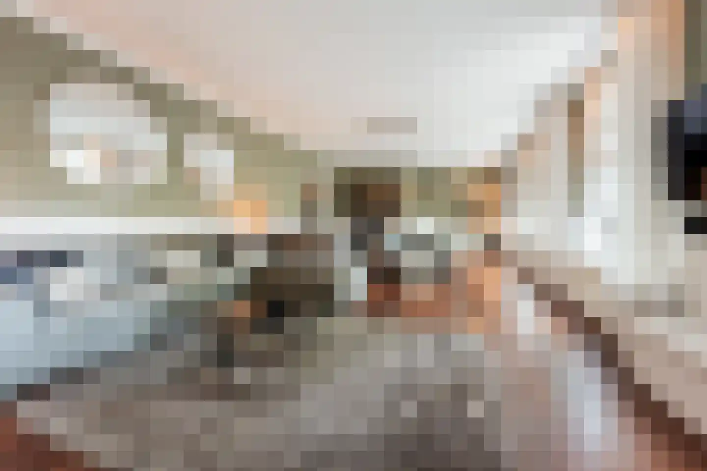 Vliet Noordzijde 45 Rijnsburg thumbnail 17