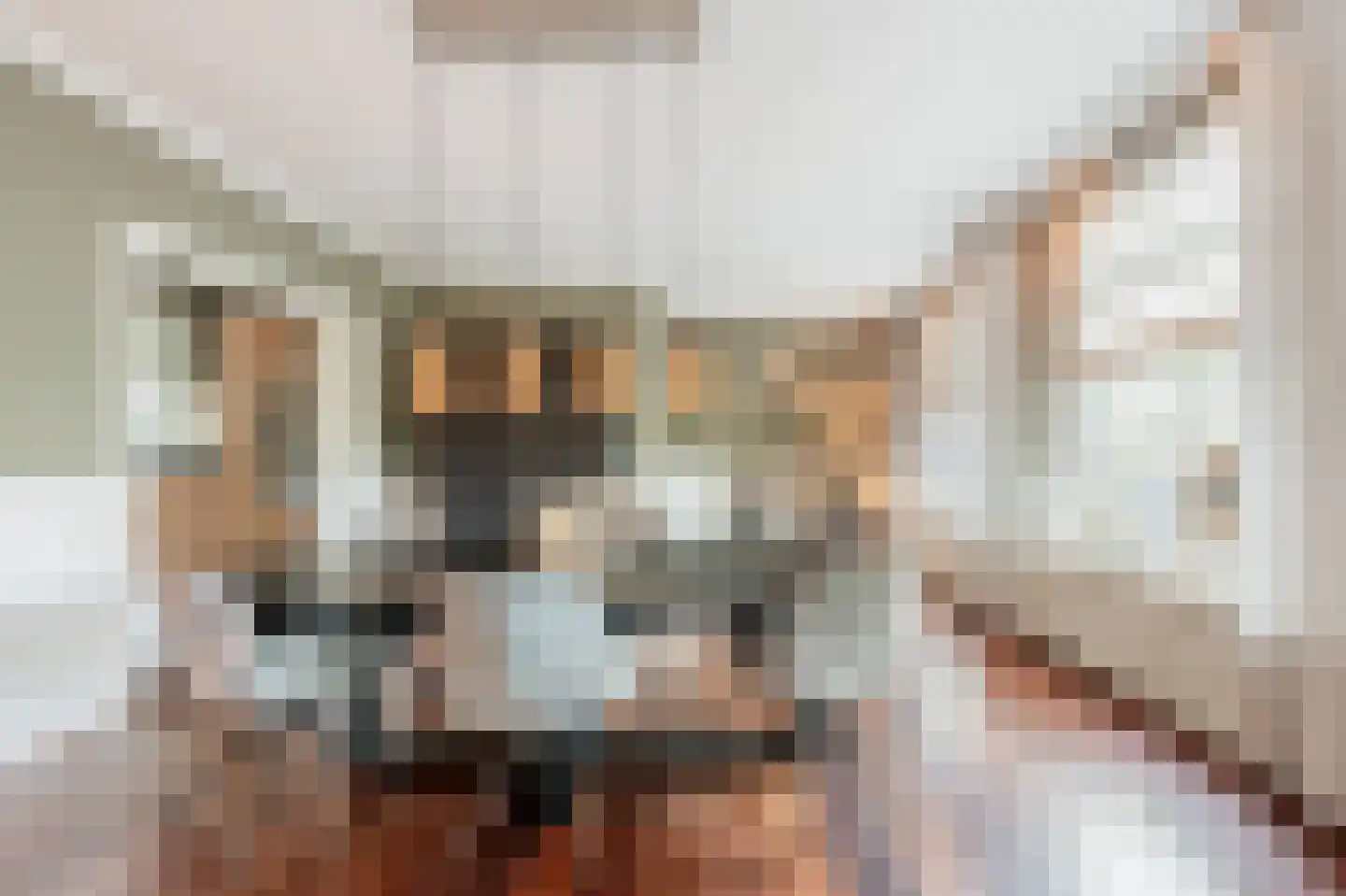 Vliet Noordzijde 45 Rijnsburg thumbnail 18