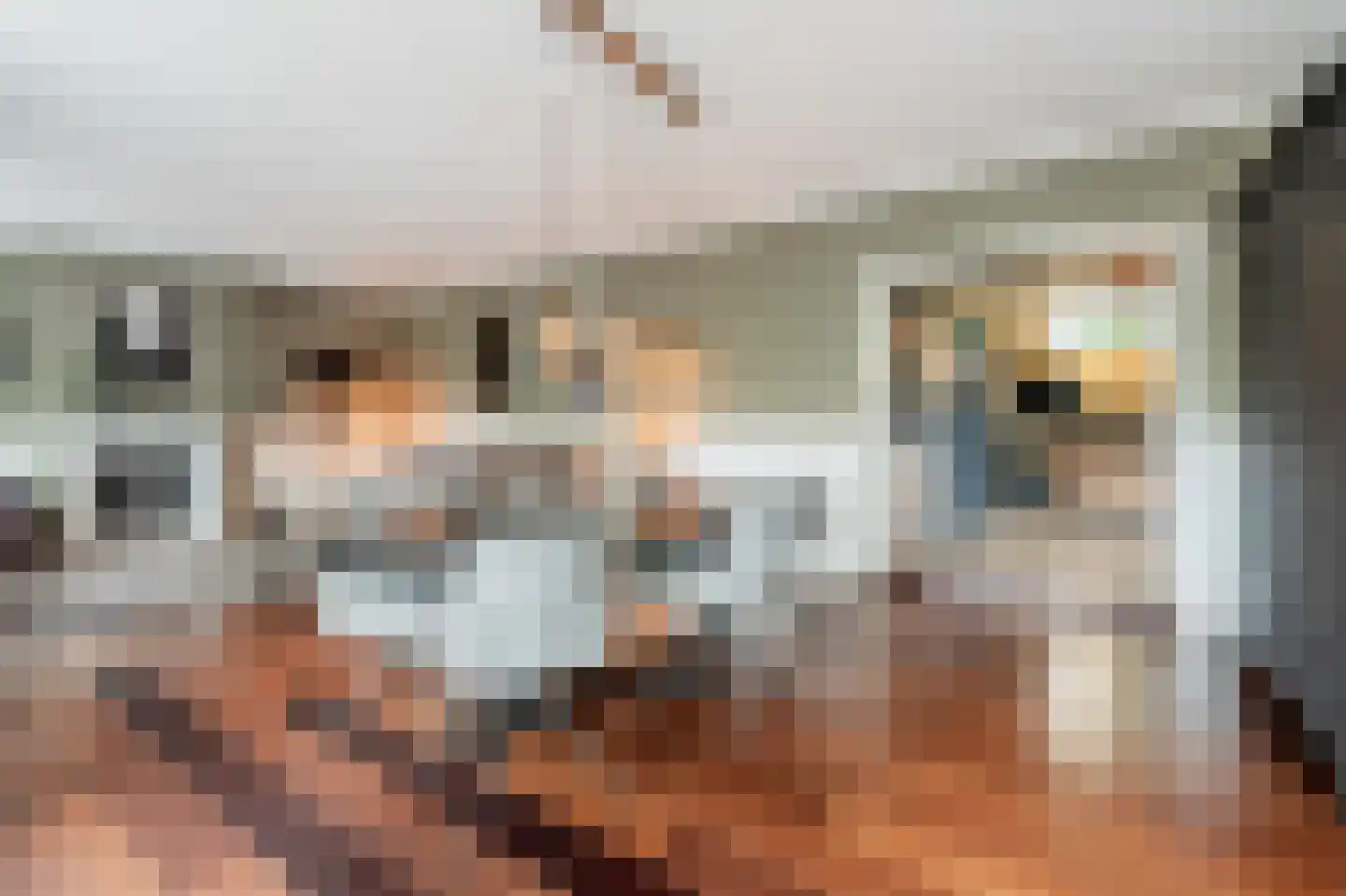 Vliet Noordzijde 45 Rijnsburg thumbnail 21