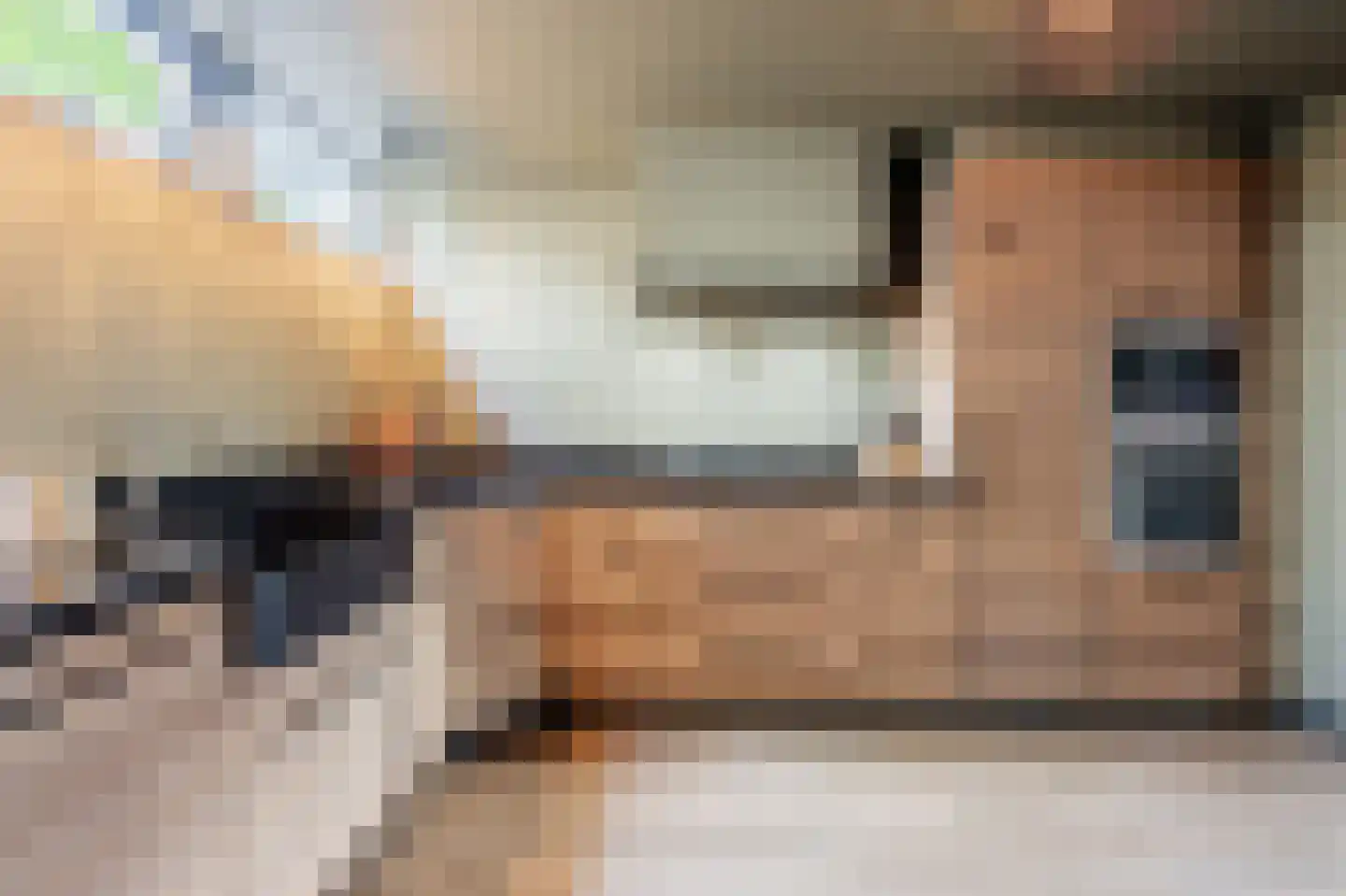 Vliet Noordzijde 45 Rijnsburg thumbnail 24