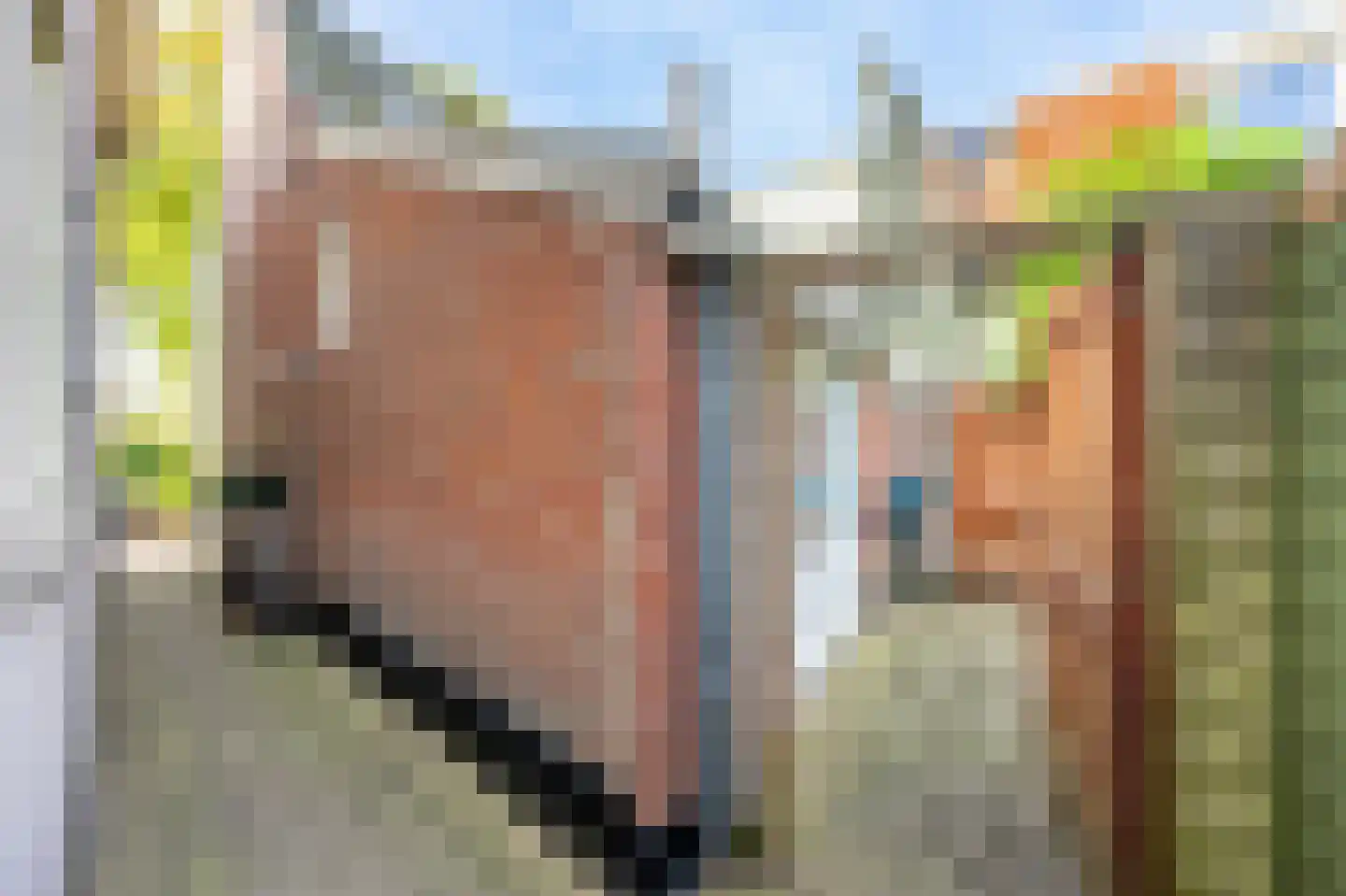 Vliet Noordzijde 45 Rijnsburg thumbnail 34