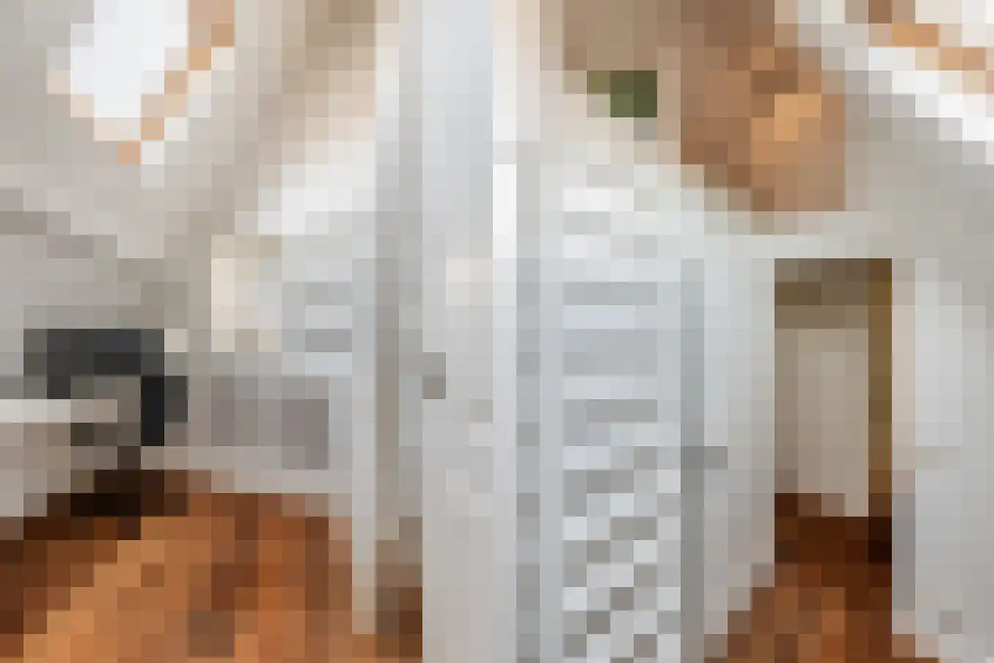 Vliet Noordzijde 45 Rijnsburg thumbnail 37
