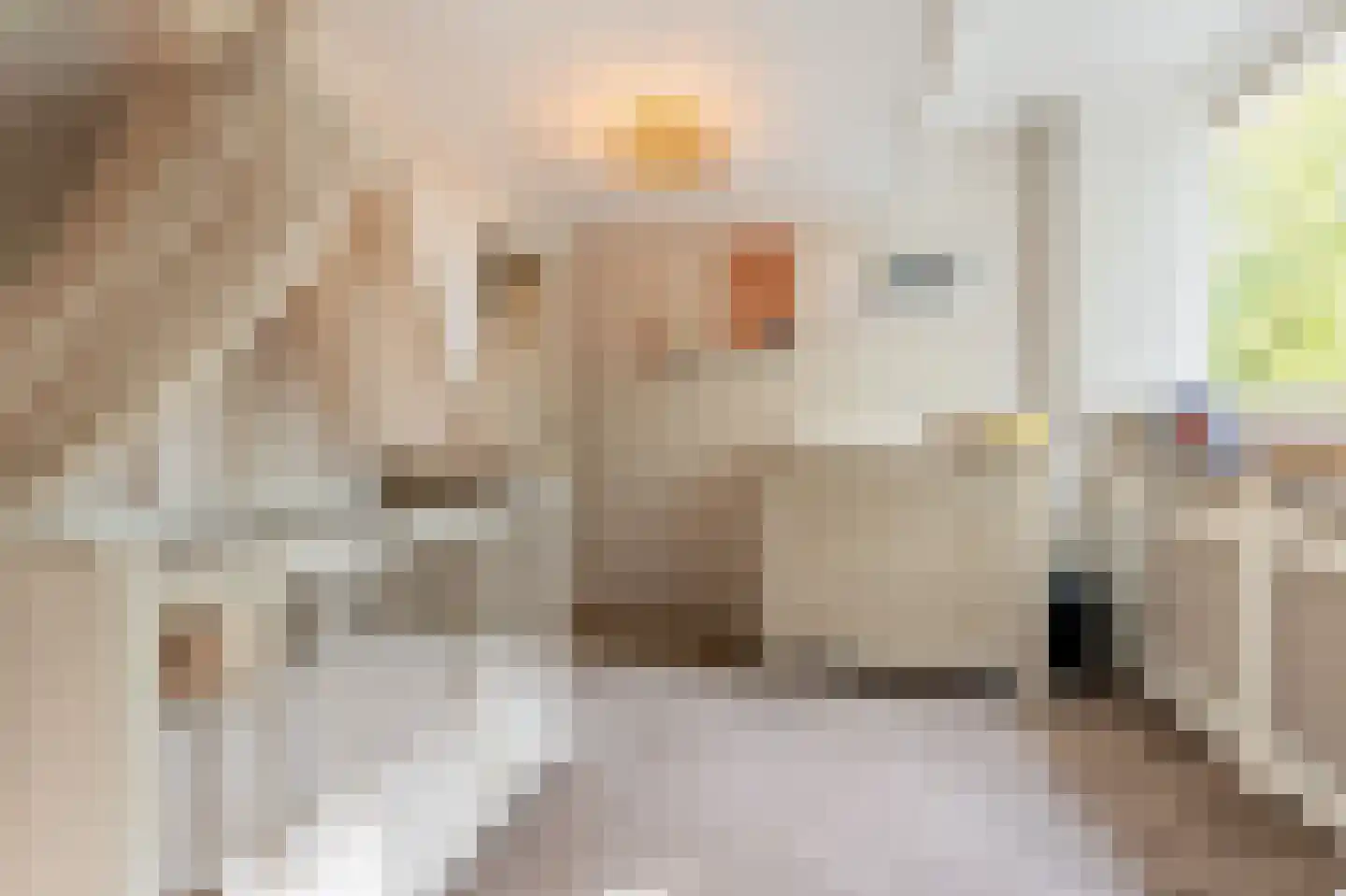 Vliet Noordzijde 45 Rijnsburg thumbnail 43